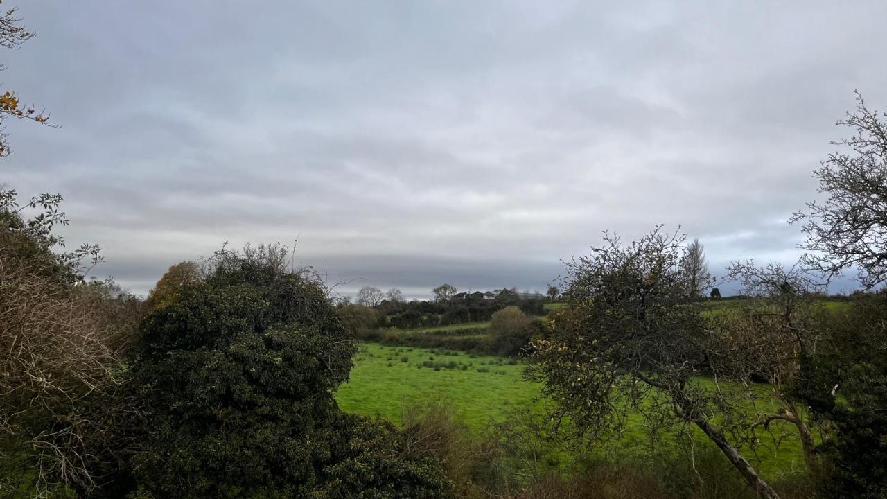 Lisnevenagh Cottage バリミーナ エクステリア 写真